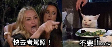 快去考駕照！ 不要！