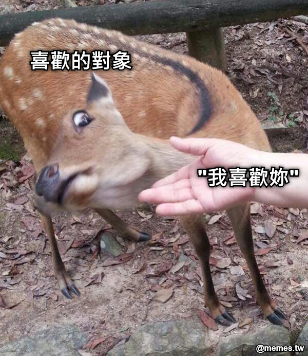 喜歡的對象 "我喜歡妳"