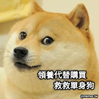 領養代替購買             救救單身狗
