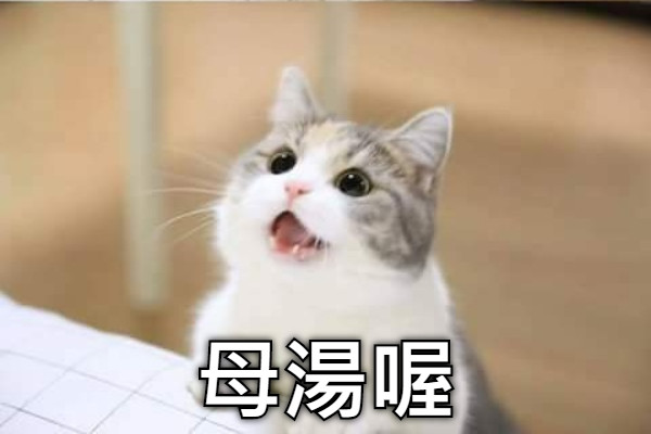 母湯喔