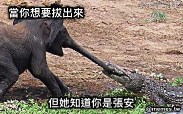 當你想要拔出來 但她知道你是張安
