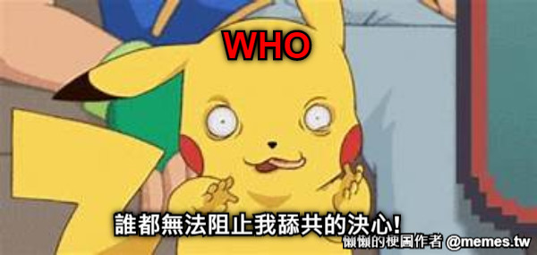 WHO 誰都無法阻止我舔共的決心!