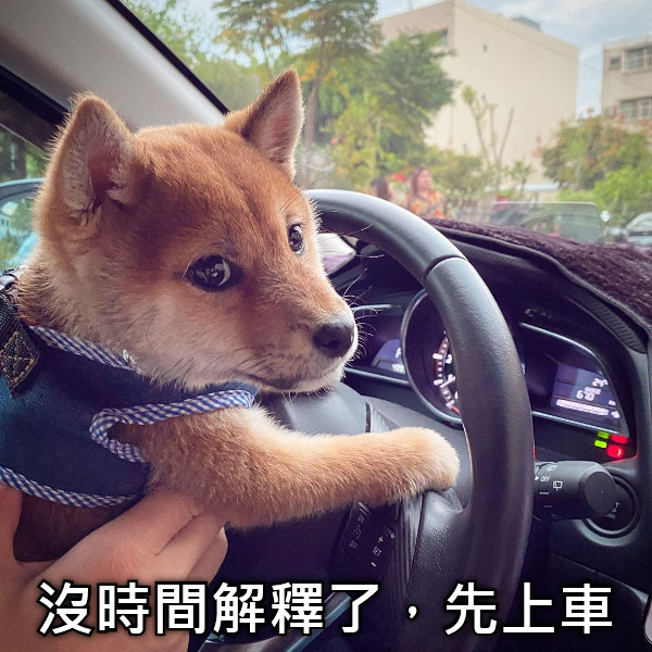 沒時間解釋了，先上車