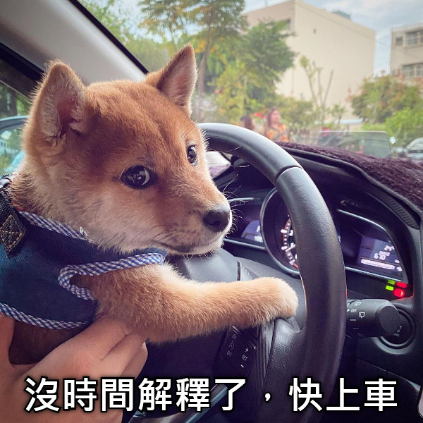 沒時間解釋了，快上車