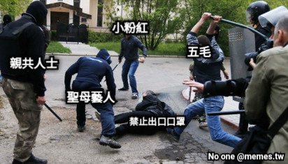 禁止出口口罩 五毛 小粉紅 親共人士 聖母藝人