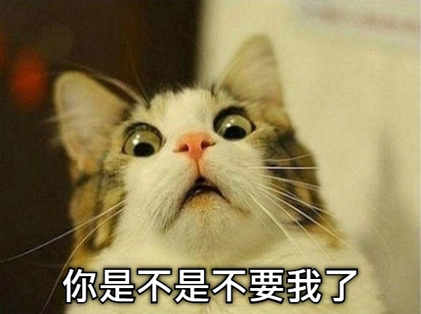 你是不是不要我了