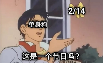 单身狗 这是一个节日吗？ 2/14