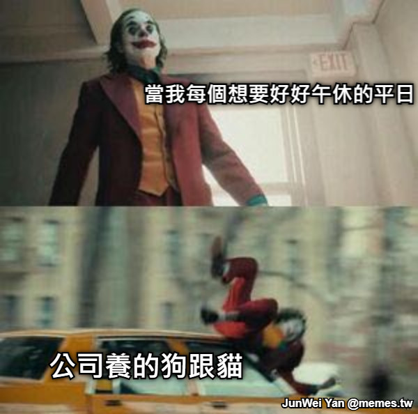 當我每個想要好好午休的平日 公司養的狗跟貓