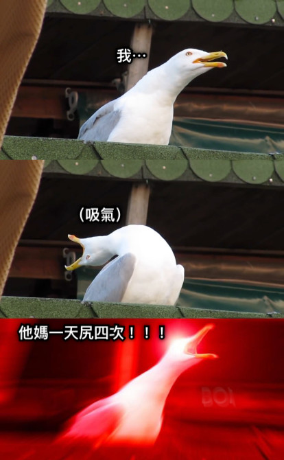 我⋯ （吸氣） 他媽一天尻四次！！！