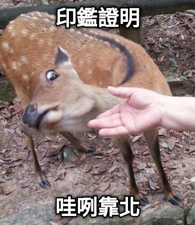 印鑑證明 哇咧靠北