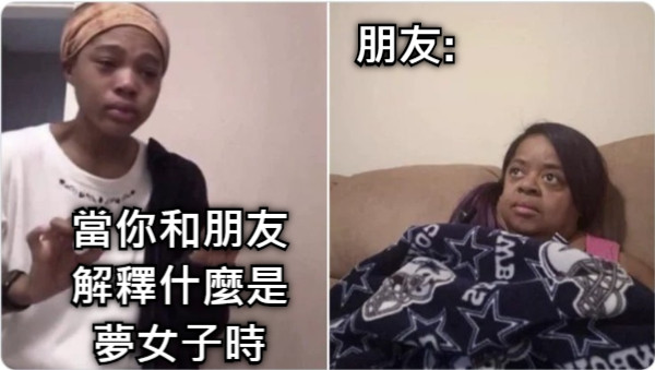 當你和朋友解釋什麼是夢女子時 朋友: