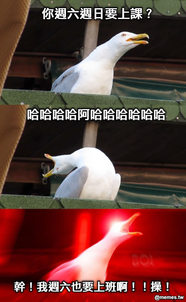 你週六週日要上課？ 哈哈哈哈阿哈哈哈哈哈哈 幹！我週六也要上班啊！！操！