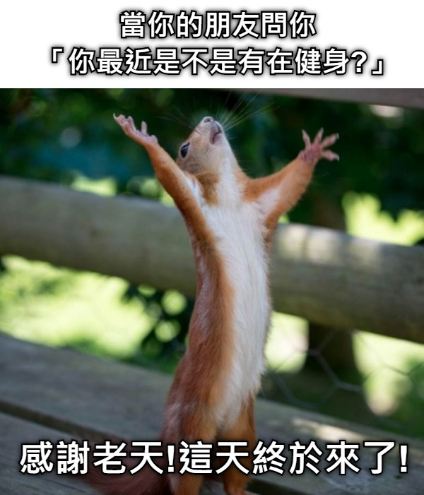 當你的朋友問你 「你最近是不是有在健身?」 感謝老天!這天終於來了!