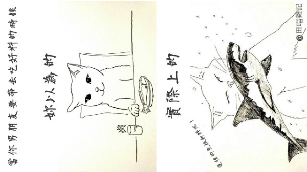 梗圖 #155869