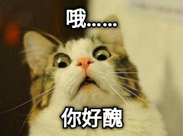 哦…… 你好醜