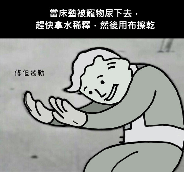 當床墊被寵物尿下去， 趕快拿水稀釋，然後用布擦乾