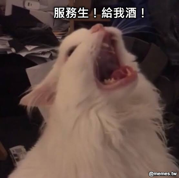 服務生！給我酒！