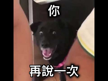 你 再說一次
