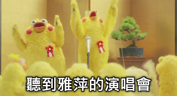 聽到雅萍的演唱會