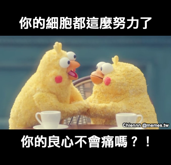 你的細胞都這麼努力了 你的良心不會痛嗎？！