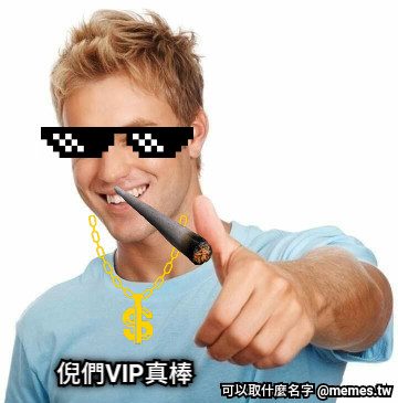 倪們VIP真棒