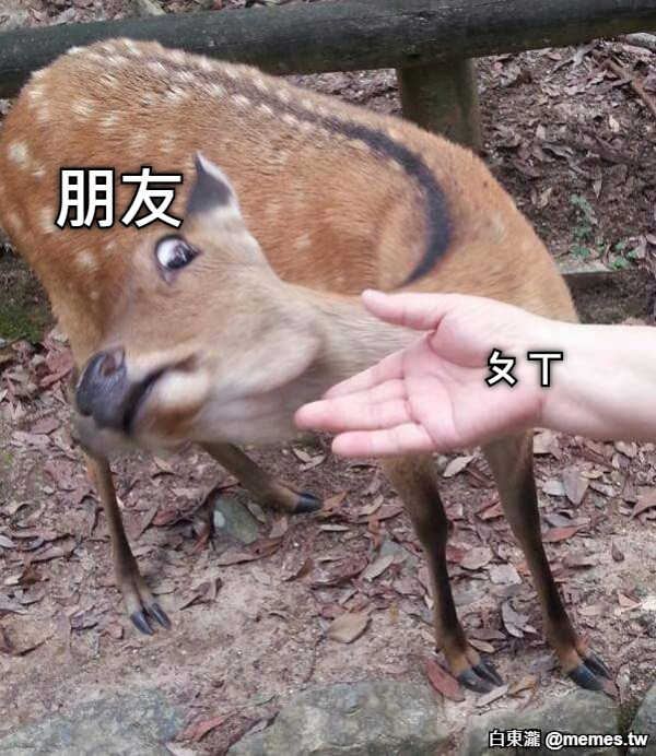 朋友 ㄆㄒ