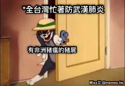 *全台灣忙著防武漢肺炎 有非洲豬瘟的豬屍