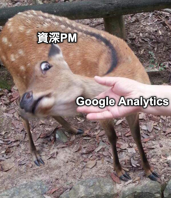 Google Analytics 資深PM