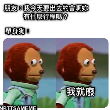 朋友：我今天要出去約會啊妳有什麼行程嗎？ 單身狗： 我就廢 NPTTSAMEME