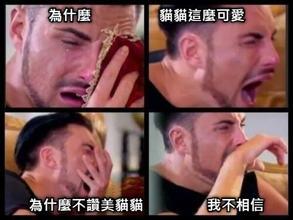 為什麼                 貓貓這麼可愛 為什麼不讚美貓貓                我不相信