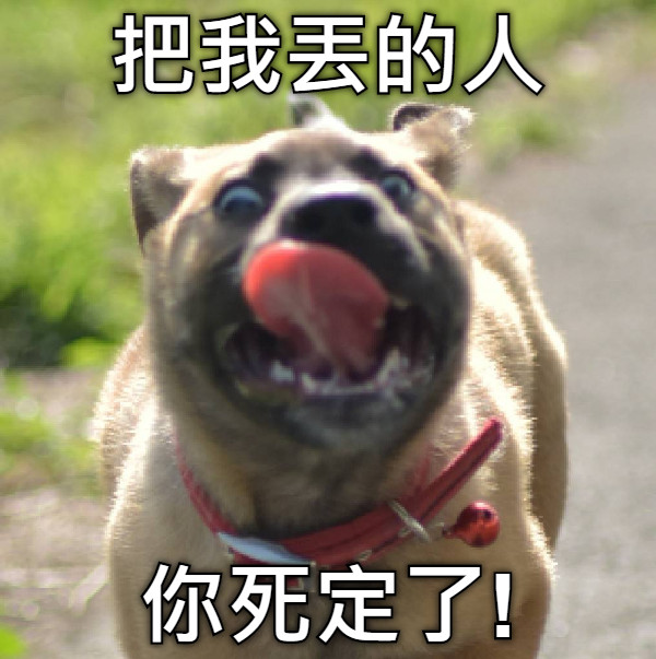 把我丟的人 你死定了!