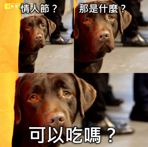 情人節？       那是什麼？ 可以吃嗎？
