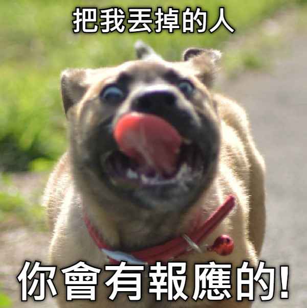 把我丟掉的人 你會有報應的!