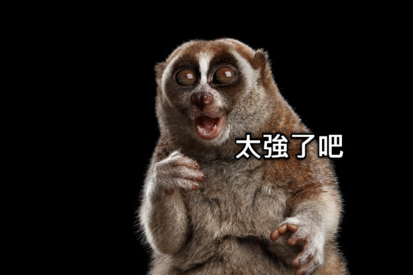 太強了吧