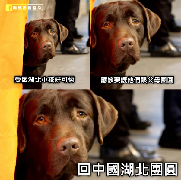 受困湖北小孩好可憐 應該要讓他們跟父母團圓 回中國湖北團圓