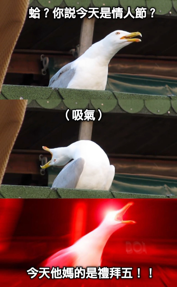 蛤？你說今天是情人節？ 今天他媽的是禮拜五！！ （吸氣）