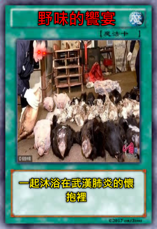 野味的饗宴 一起沐浴在武漢肺炎的懷抱裡
