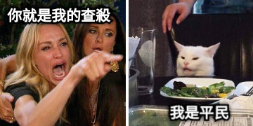 你就是我的查殺 我是平民