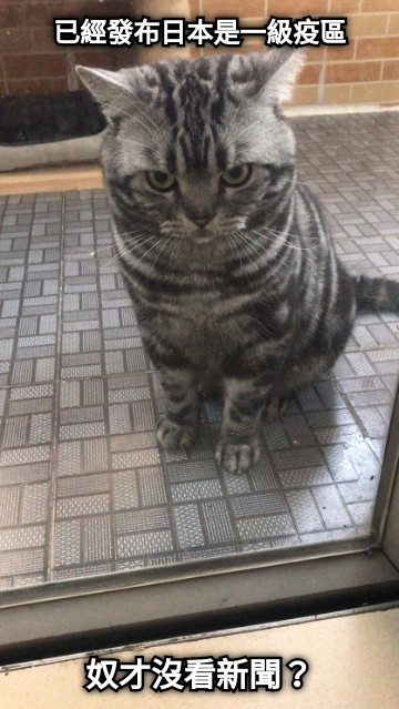 已經發布日本是一級疫區 奴才沒看新聞？