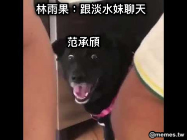 林雨果：跟淡水妹聊天 范承頎