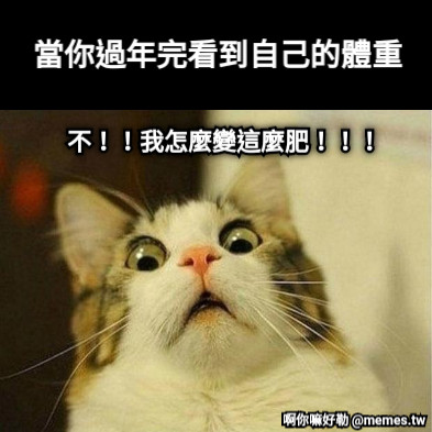當你過年完看到自己的體重 不！！我怎麼變這麼肥！！！