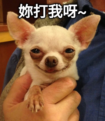 妳打我呀~