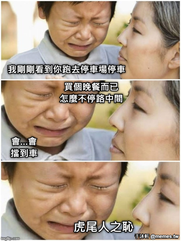我剛剛看到你跑去停車場停車 買個晚餐而已 怎麼不停路中間 會...會 擋到車 虎尾人之恥