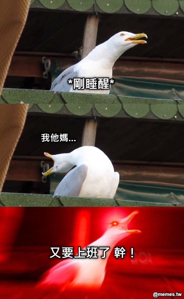 *剛睡醒*  我他媽... 又要上班了 幹！