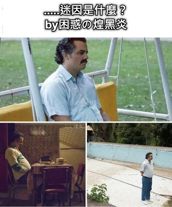 .....迷因是什麼？ by困惑の煌黑炎