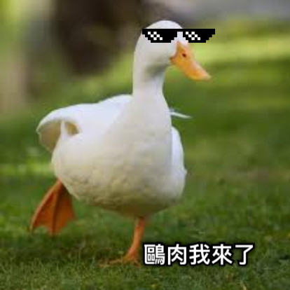 鷗肉我來了