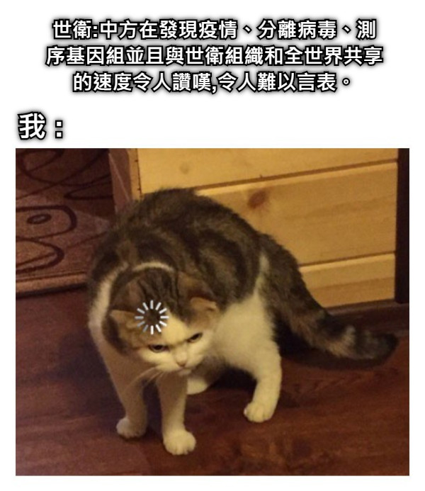 世衛:中方在發現疫情、分離病毒、測序基因組並且與世衛組織和全世界共享的速度令人讚嘆,令人難以言表。 我 :