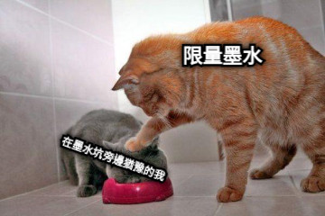 限量墨水 在墨水坑旁邊猶豫的我