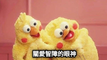 關愛智障的眼神