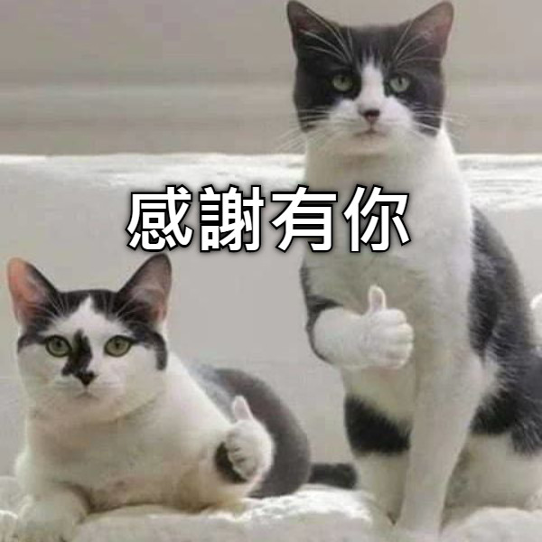 感謝有你